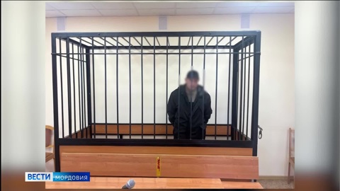 В Мордовии задержали госизменщика
