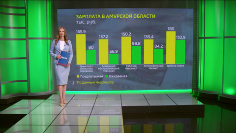 Разницу между предлагаемой и желаемой зарплатой выяснили в Приамурье
