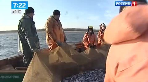 Эфир от 31.03.2014