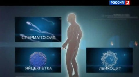 Радиоактивность