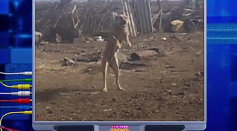 Эфир от 27.04.2014