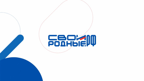 Электронная платформа для помощи участникам СВО заработала в России
