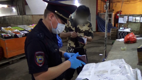 Количество миграционных проверок увеличили в Приамурье