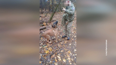 Овчарка по имени Блейд служит на передовой вместе с амурскими бойцами