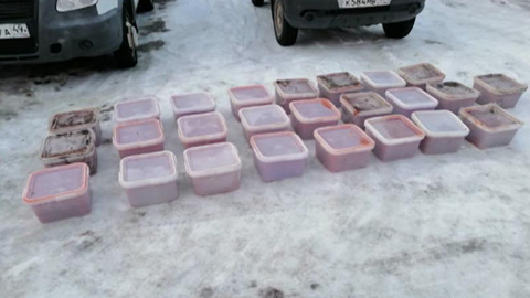 В Магаданской области у браконьеров изъяли красную икру