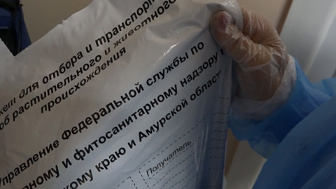 Следователи начали проверку из-за отравления забайкальцев блинами