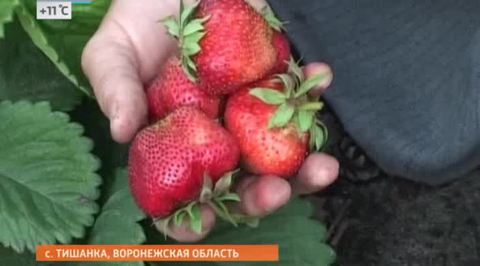 Эфир от 20.06.2014