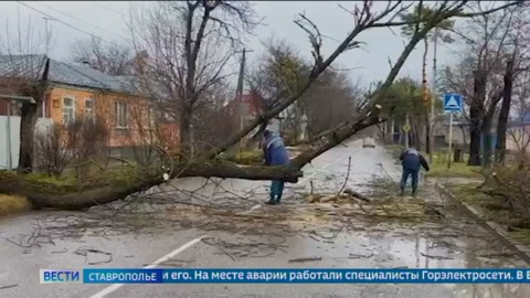 Эфир от 18.12.2024 (14:30)