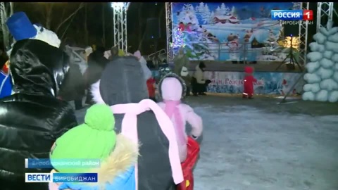 В ЕАО завершается марафон новогодних елей