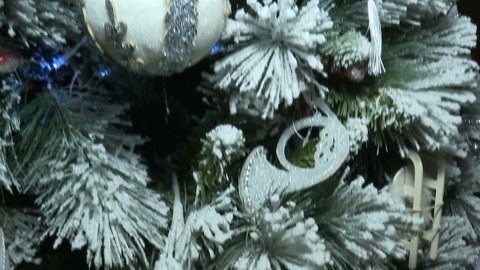 Эфир от 24.12.2024 (09:30)