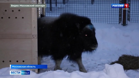 Эфир от 25.12.2024 (09:30)