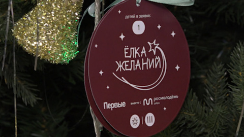 В акции «Ёлка желаний» приняли участие вице-премьеры и министры правительства Забайкалья