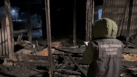 Стала известна причина пожара в поселке Челябинской области, где погибли трое детей