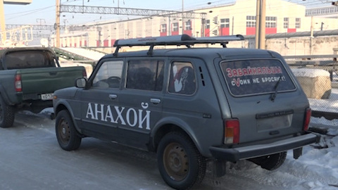 Рекордное количество: Народный фронт отправляет в зону СВО 30 автомобилей