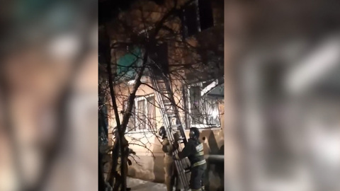 Замерзавшую на козырьке балкона кошку спасли в Чите