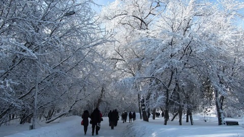 Эфир от 12.01.2025