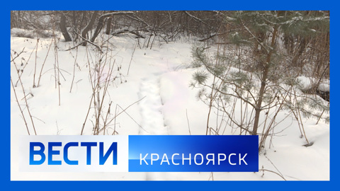 Эфир от 29.01.2025