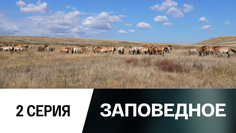 Табун