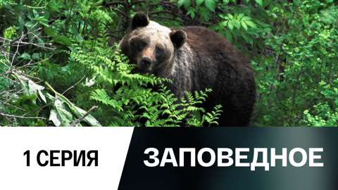 Хозяин тайги