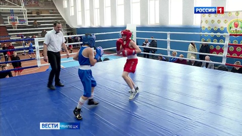 Более 300 боксеров Липецкой области сразились за медали чемпионата и первенства