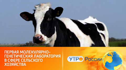 В России получила аккредитацию первая молекулярно-генетическая лаборатория в сфере животноводства