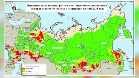 13 лесных пожаров действуют в Забайкалье