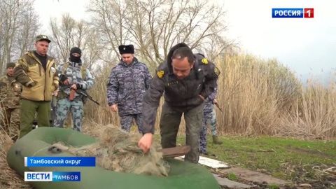 «Охота» на браконьеров