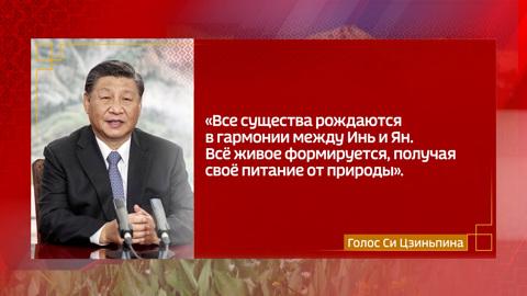 О гармонии в природе