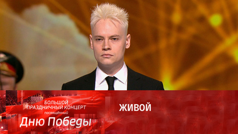 SHAMAN. Живой