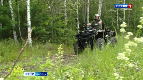 Жителей Липецкой области предупреждают об опасности возгорания тополиного пуха