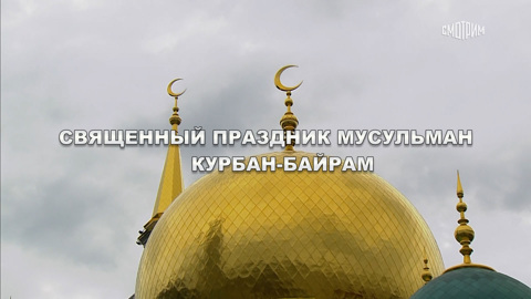Эфир от 06.06.2025