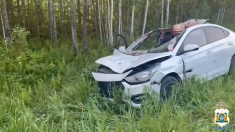 Смертельное ДТП с участием лося произошло на тюменской трассе