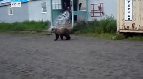 Эфир от 04.09.2014