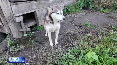 Эфир от 12.07.2025