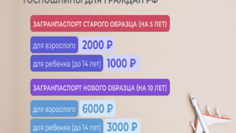 Жизнь в цифрах: размеры госпошлин на оформление документов
