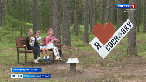 Детский санаторий "Семейный" ждёт новгородских ребятишек