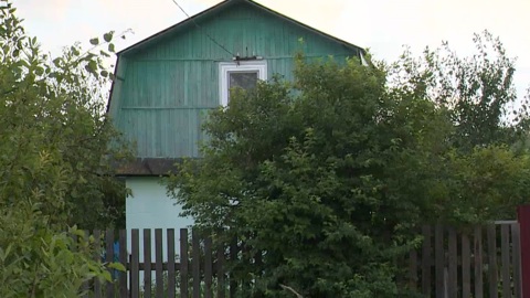 Владельцы неухоженных земельных участков в Марий Эл могут их лишиться