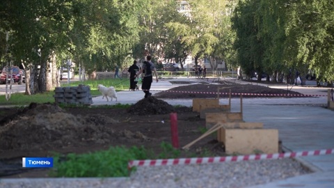 Муравьи из Новосибирска украсят тюменский сквер Отрядов мэра
