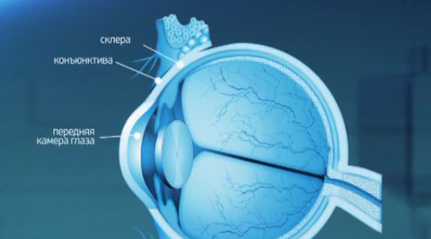 Эфир от 04.10.2014
