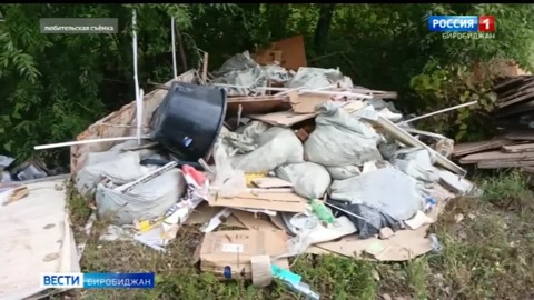 Несанкционированная свалка в Биробиджане возмутила людей