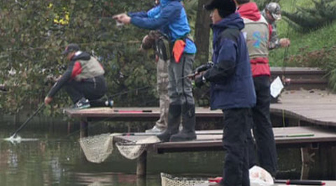 "PAL-trout". Часть 1 