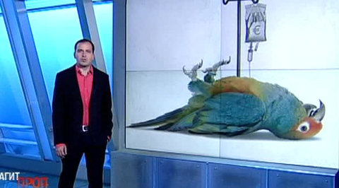 Эфир от 01.11.2014