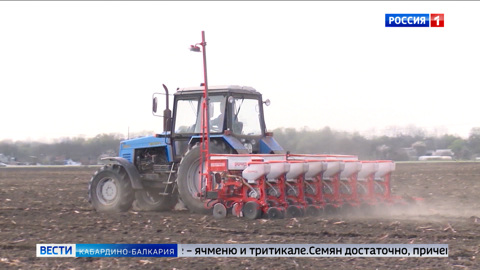 Более 60 тысяч гектаров отведут под зерновые в КБР