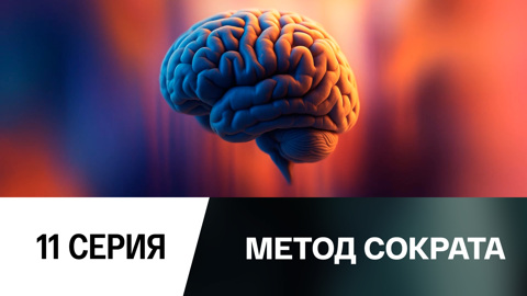 Мозг: эволюция или революция
