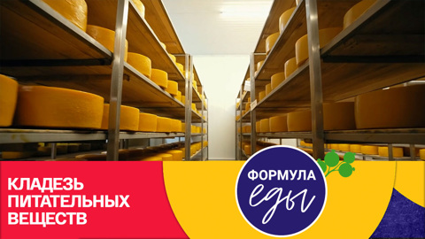Незаменимый источник белка