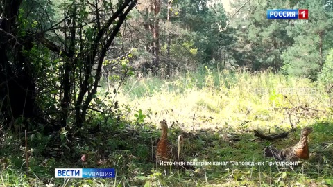 Эфир от 23.09.2025