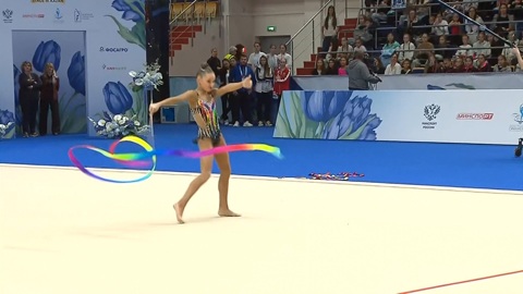 Спортивное мастерство, артистизм и воля к победе