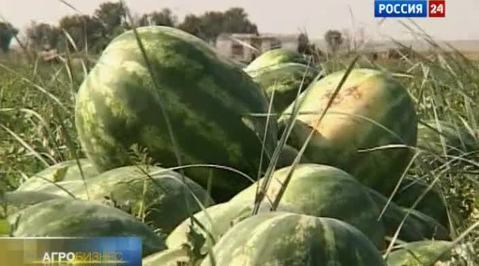 Эфир от 20.08.2011