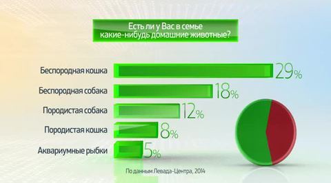 Россия в цифрах. Домашние животные