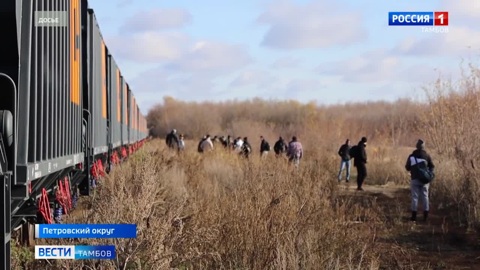 Вынесен приговор беглецу из липецкой колонии, оказавшему сопротивление полицейскому